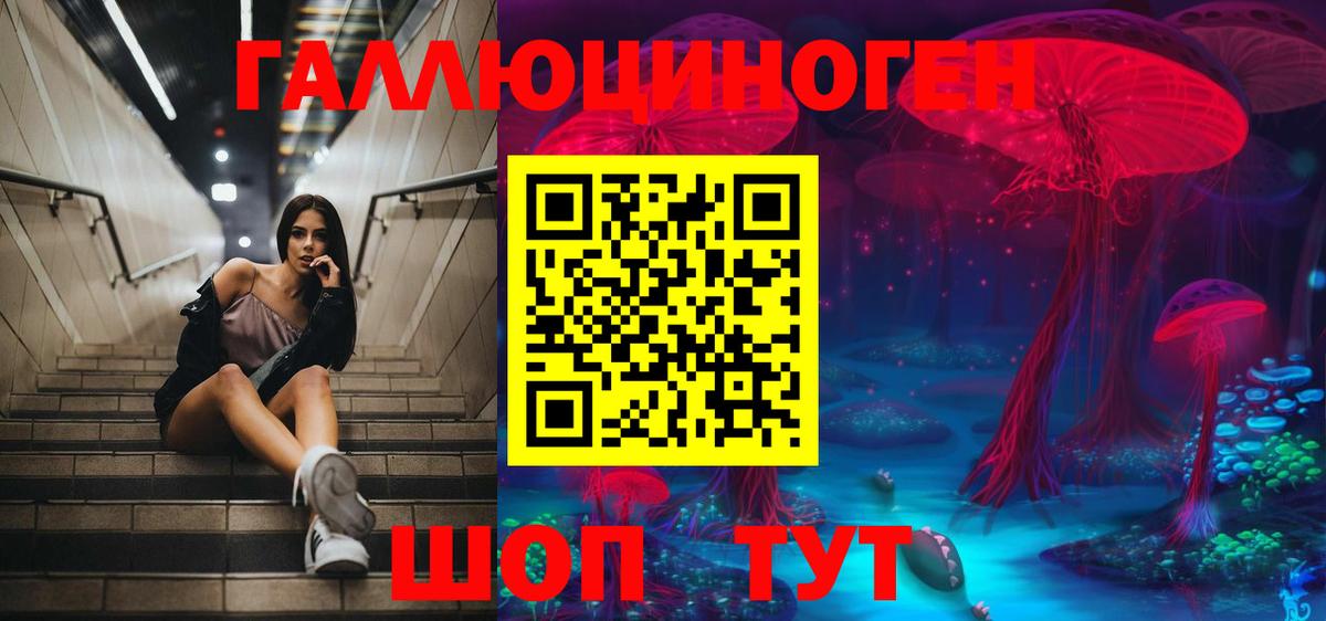 Псилоцибиновые грибы Psilocybe  Вход с VPN  Галлюциногенные грибы прущие грибы  Тавда 
